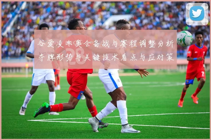 谷爱凌冬奥会备战与赛程调整分析夺牌形势与关键技术看点与应对策略