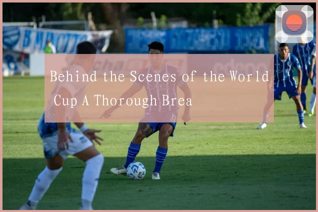Behind the Scenes of the World Cup A Thorough Brea