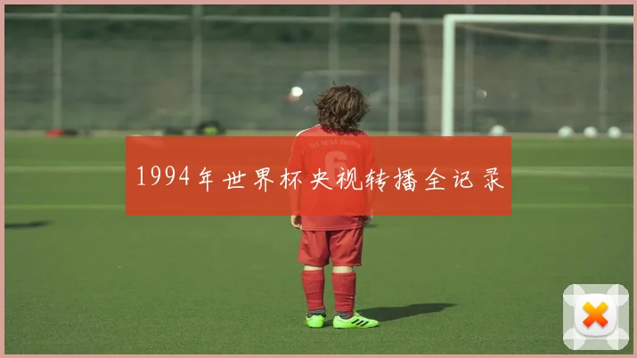 1994年世界杯央视转播全记录