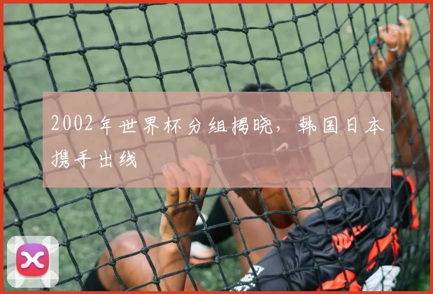 2002年世界杯分组揭晓，韩国日本携手出线